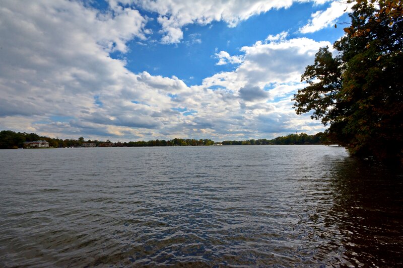 Lake with Trees and Houses