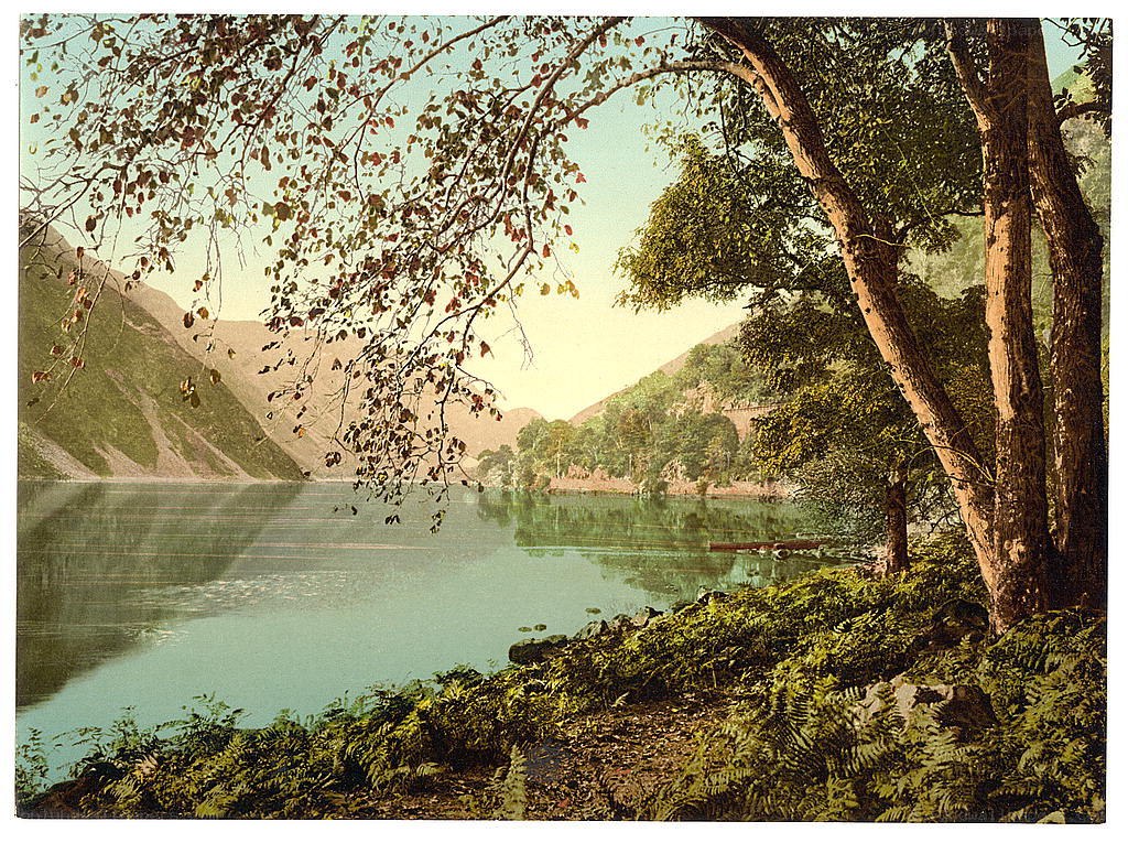 Lake with trees and mountains