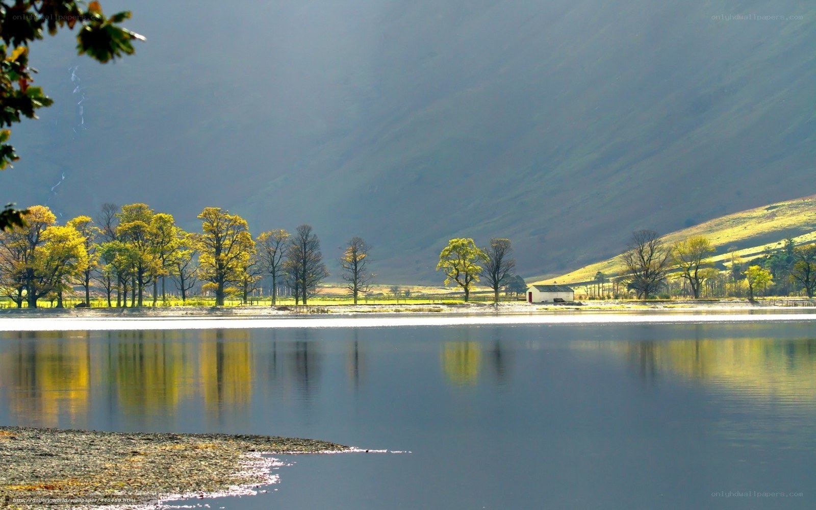 Lake with trees and mountains
