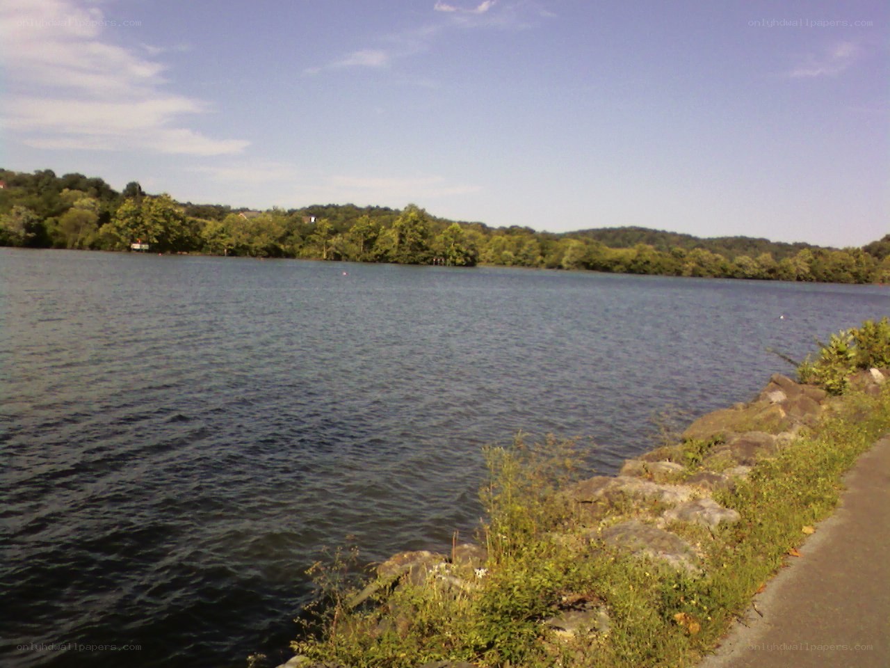 Lake with trees and path