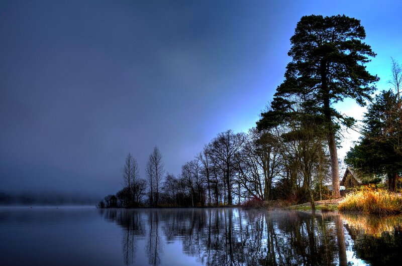Lake with Trees and Reflection