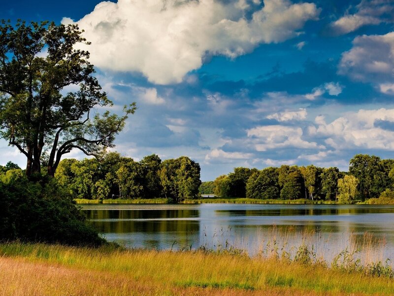 Lake with Trees and Sky
