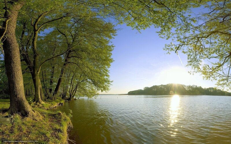 Lake with Trees at Sunset