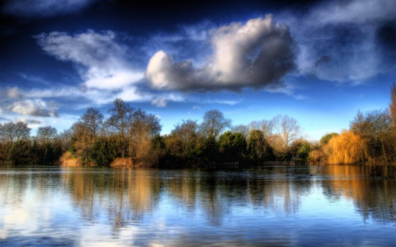Lake with Trees — Blue, Dramatic