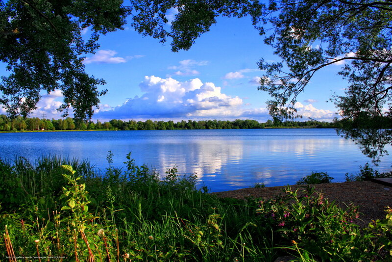 Lake with Trees — Blue, Serene, Afternoon, Photograph, Clouds