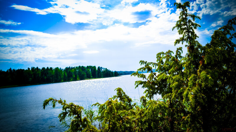 Lake with Trees — Blue, Serene, Afternoon, Photograph