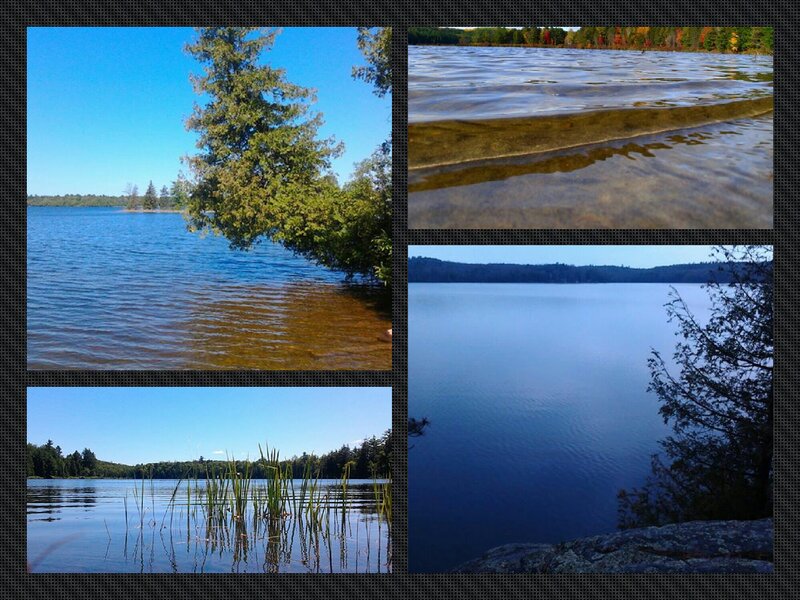 Lake with Trees — Blue, Serene, Afternoon