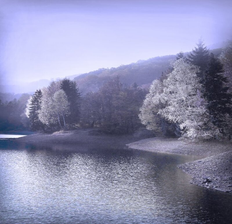 Lake with Trees — Blue, Serene, Morning