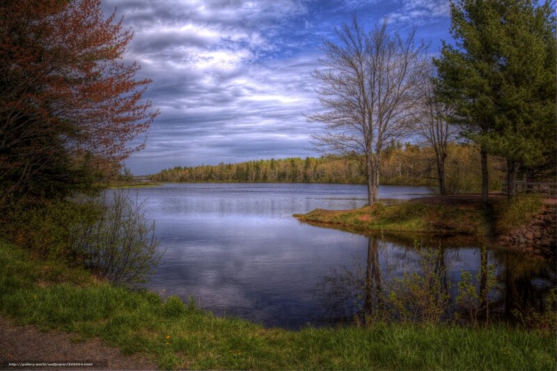 Lake with Trees — Blue, Serene, Spring, Photograph
