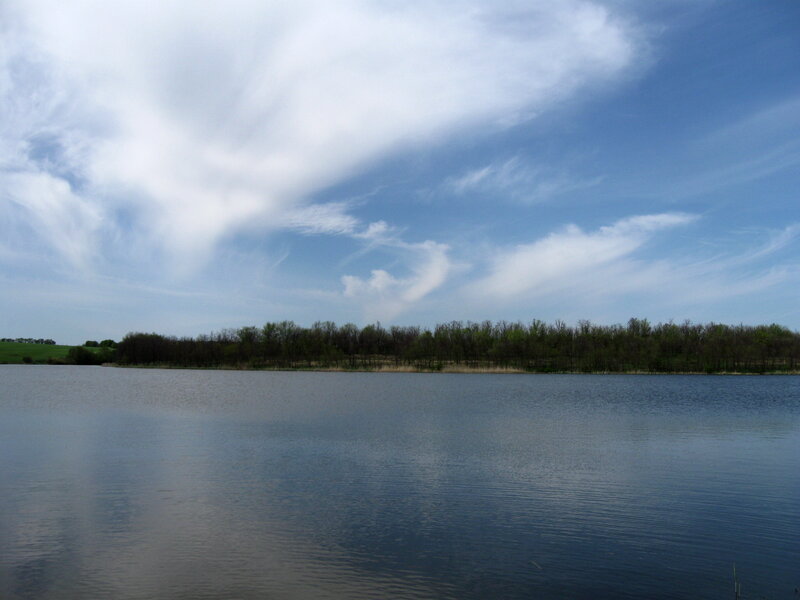 Lake with Trees — Blue, Serene, Spring