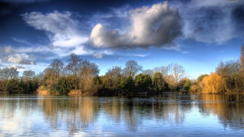 Lake with Trees — Blue, Serene
