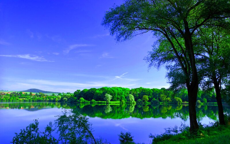 Lake with Trees — Blue