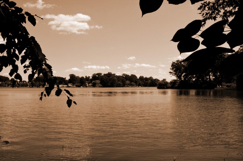 Lake with Trees — Brown