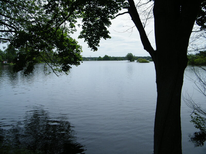 Lake with Trees — Green, Calm
