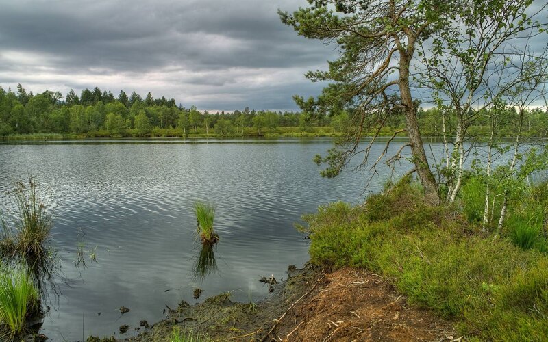 Lake with Trees — Green, Dramatic, Afternoon, Photograph