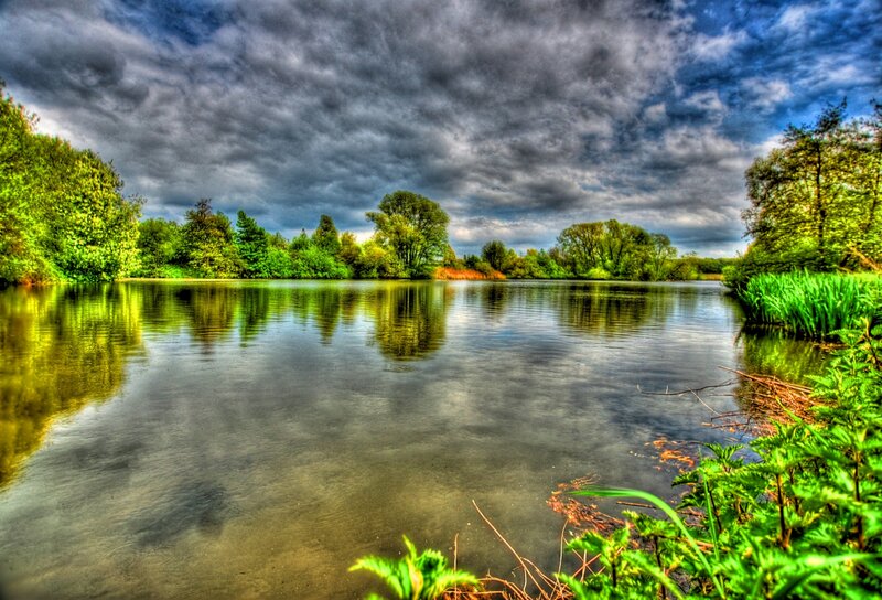 Lake with Trees — Green, Dramatic, Afternoon