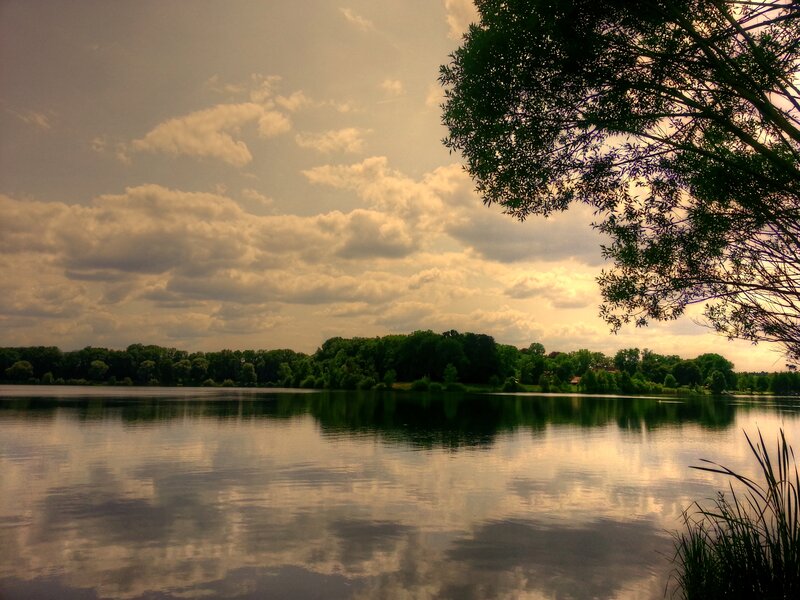Lake with Trees — Green, Serene