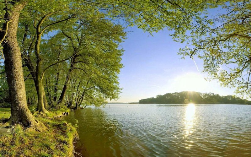 Lake with Trees — Green