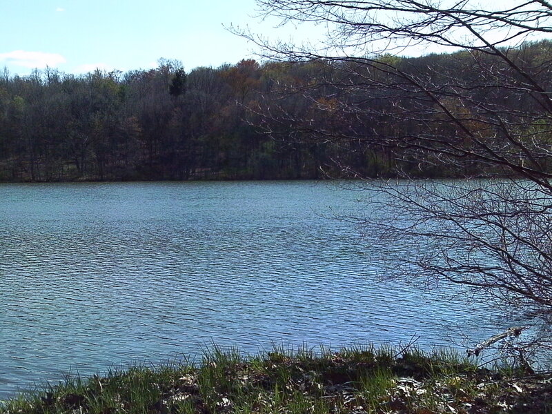Lake with trees in background