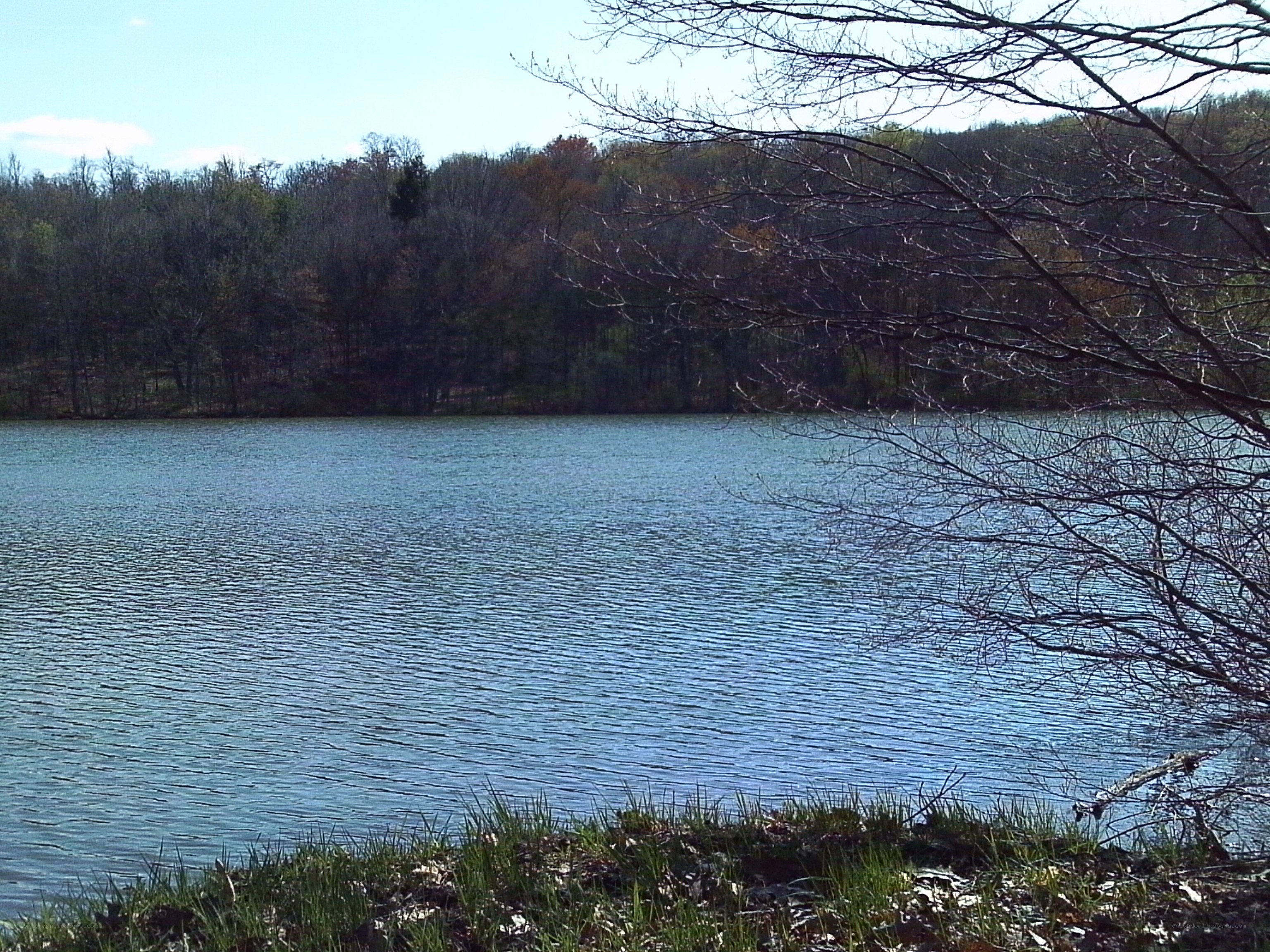 Lake with trees in background