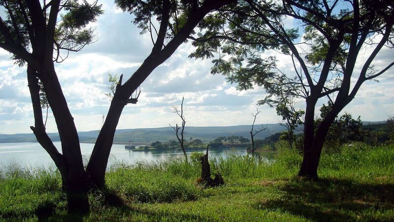 Lake with Trees in Foreground