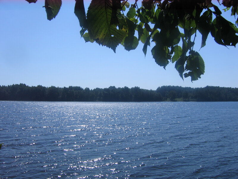 Lake with Trees
