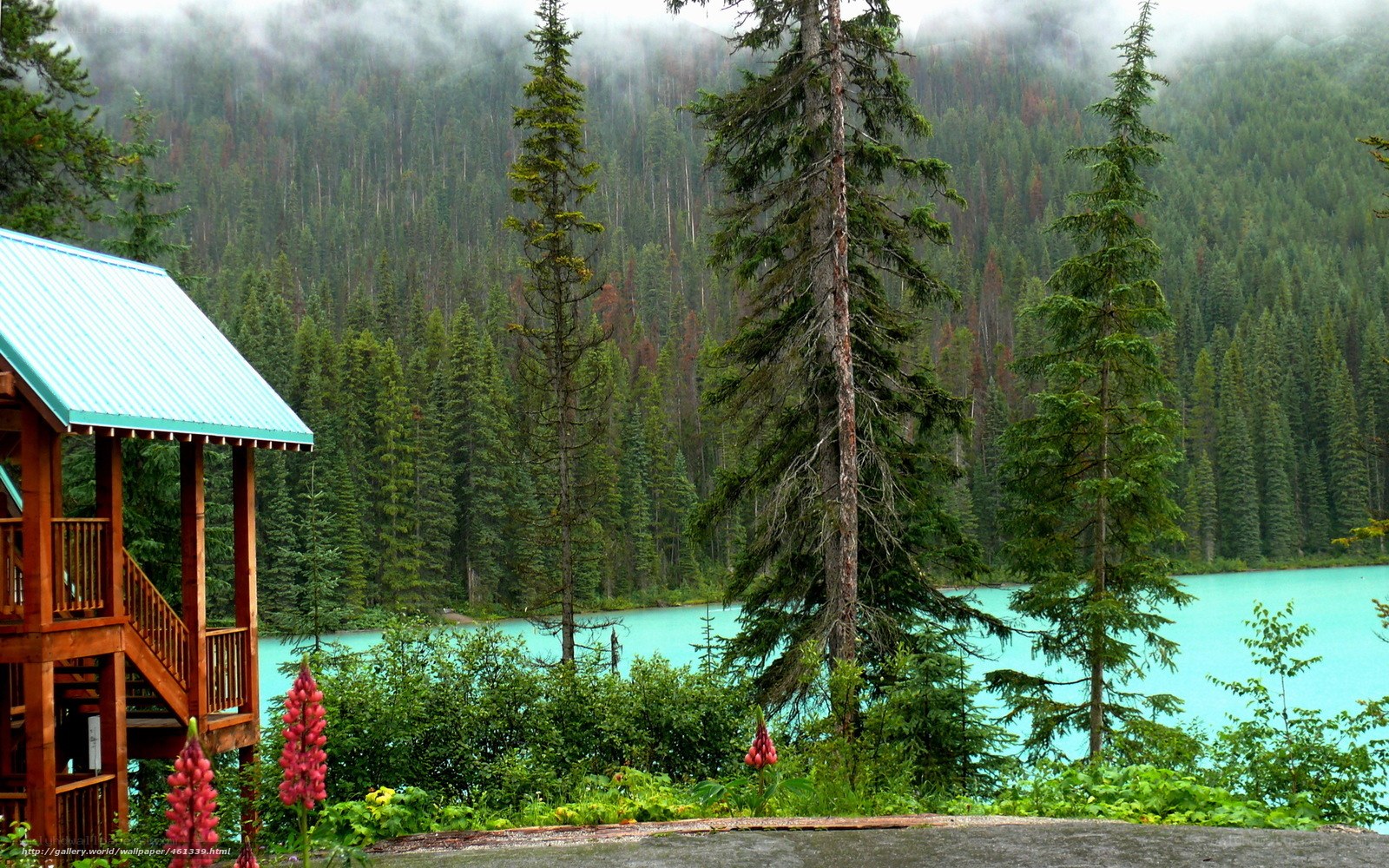 Lake with turquoise water and forest