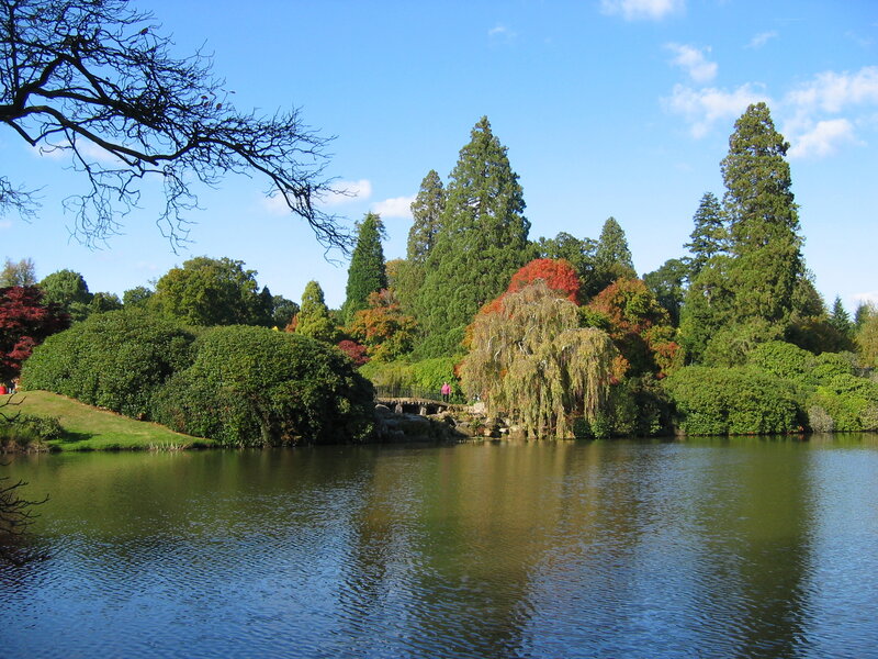 Lake with Weeping Willow