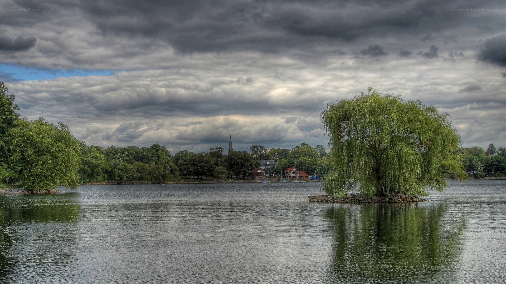 Lake with willow tree island