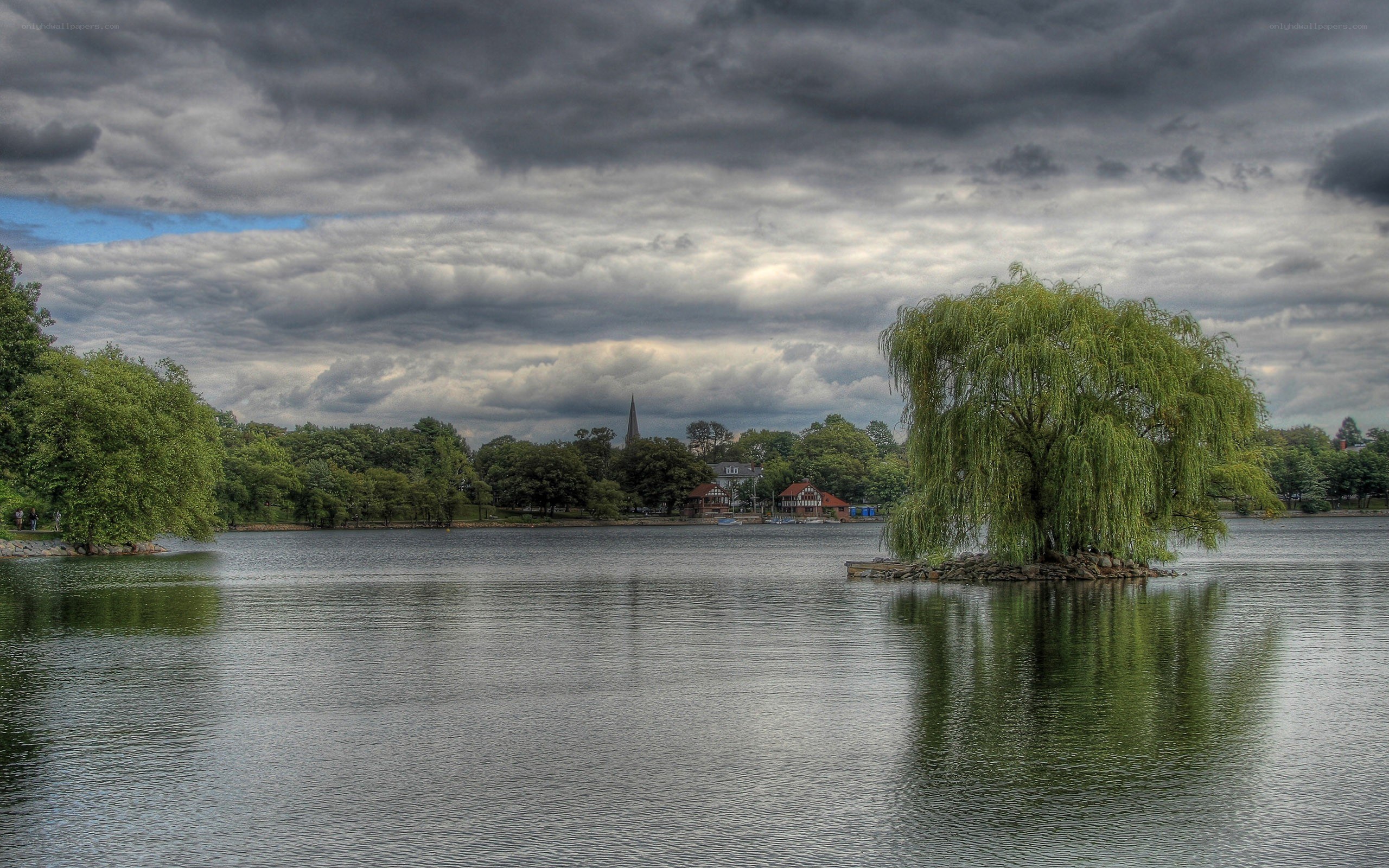 Lake with willow tree island