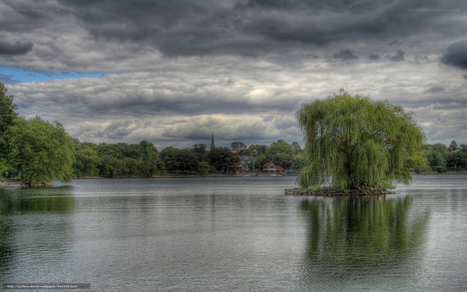 Lake with willow tree island