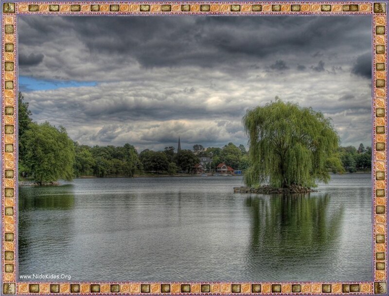 Lake with willow tree