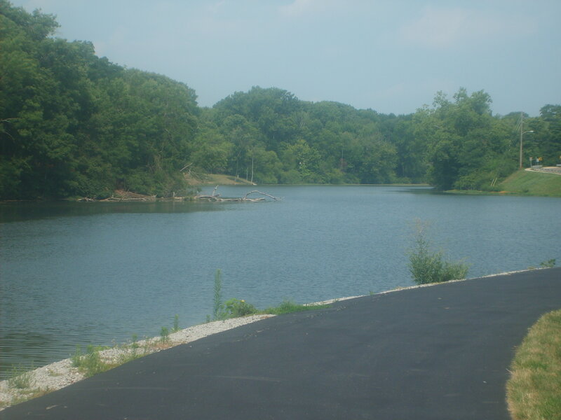 Lake with wooded shore