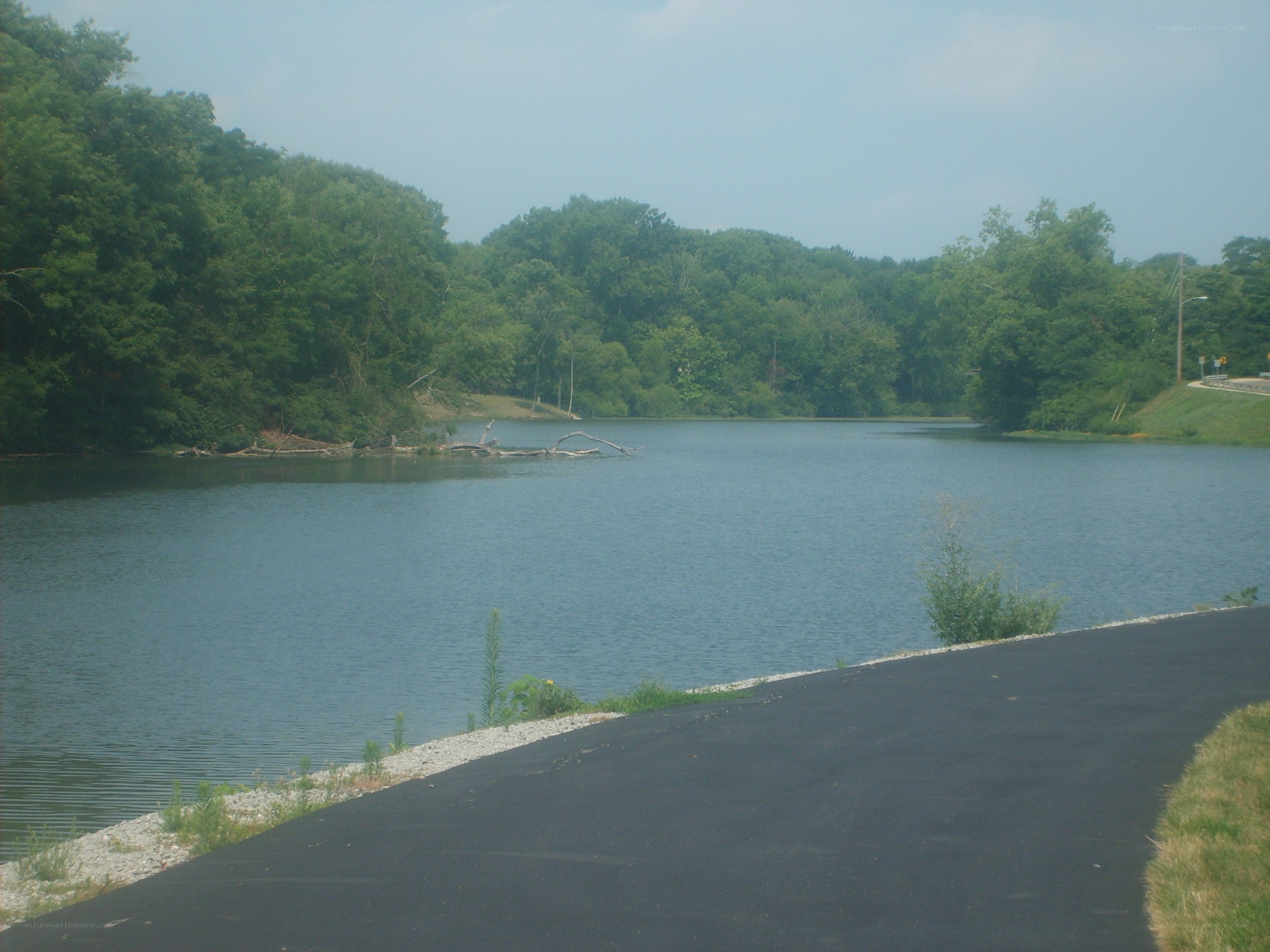Lake with wooded shore