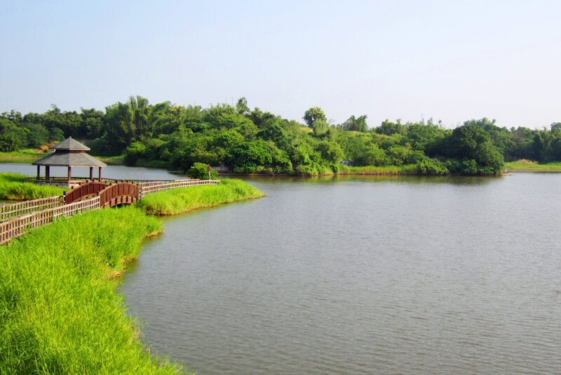 Lake with Wooden Bridge