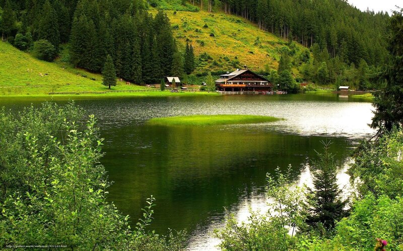 Lake with wooden cabin in forest