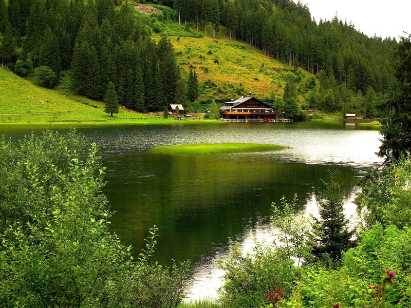 Lake with wooden cabin in forest