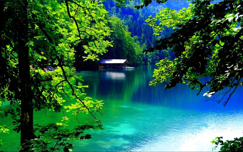 Lake with Wooden Cabin
