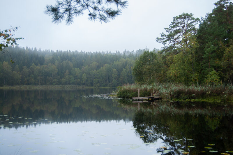 Lake with Wooden Dock — Green