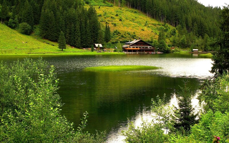 Lake with wooden lodge in forest