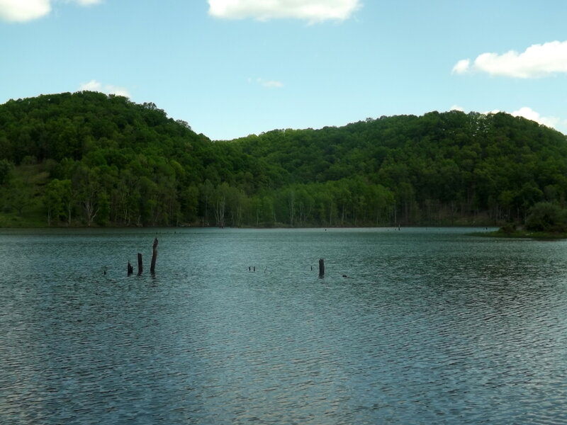Lake with Wooden Posts — Green