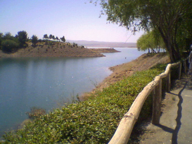 Lake with Wooden Railing