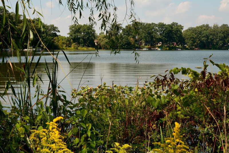 Lake with Yellow Flowers — Green