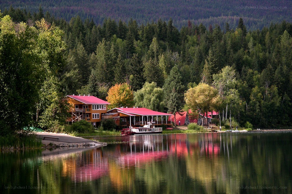 Lakefront cabins in forest