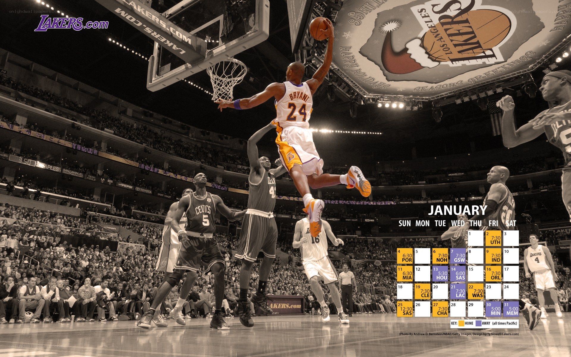Lakers basketball action