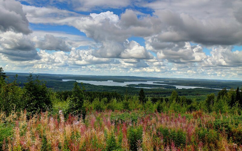 Lakes and forests under cloudy sky
