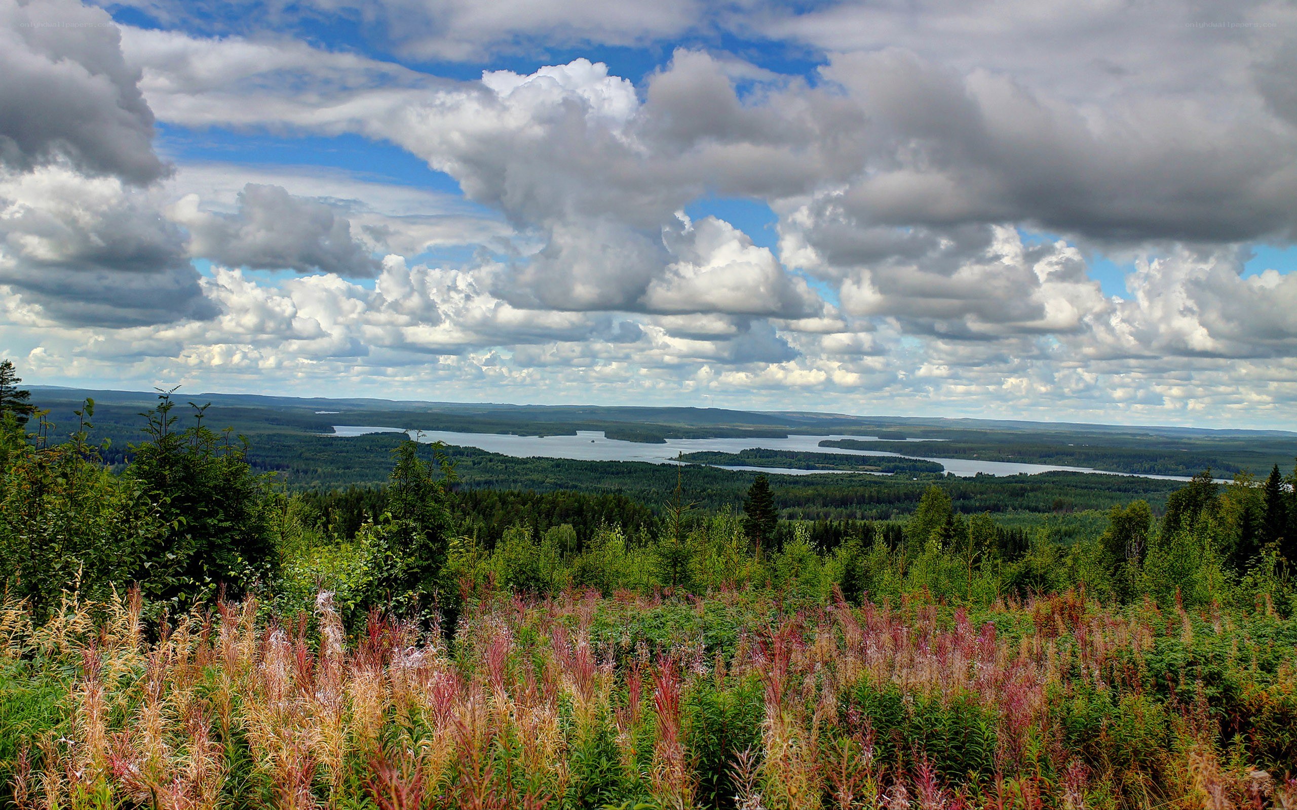 Lakes and forests under cloudy sky