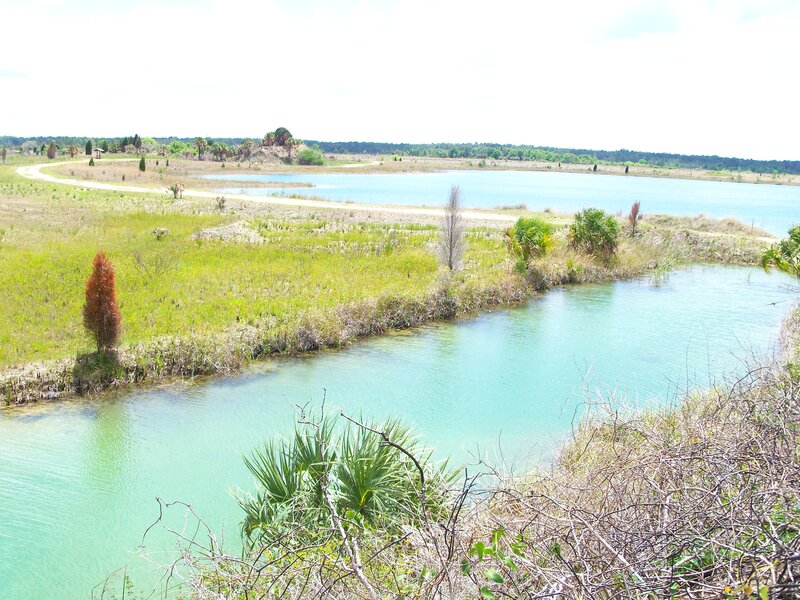 Lakes and wetlands in Florida