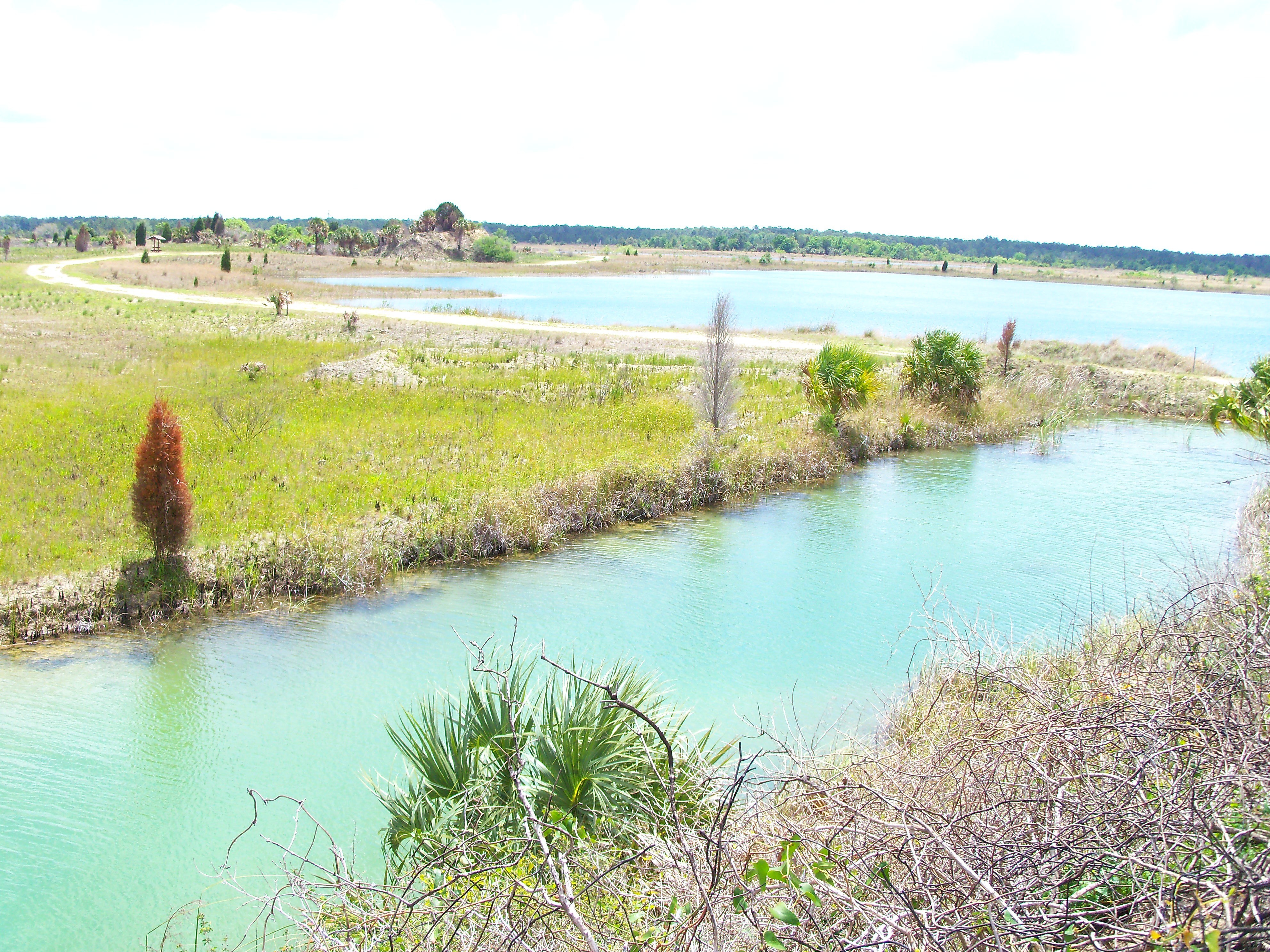 Lakes and wetlands in Florida