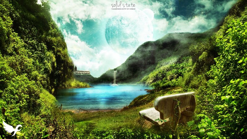 Lakeside Bench in Forest